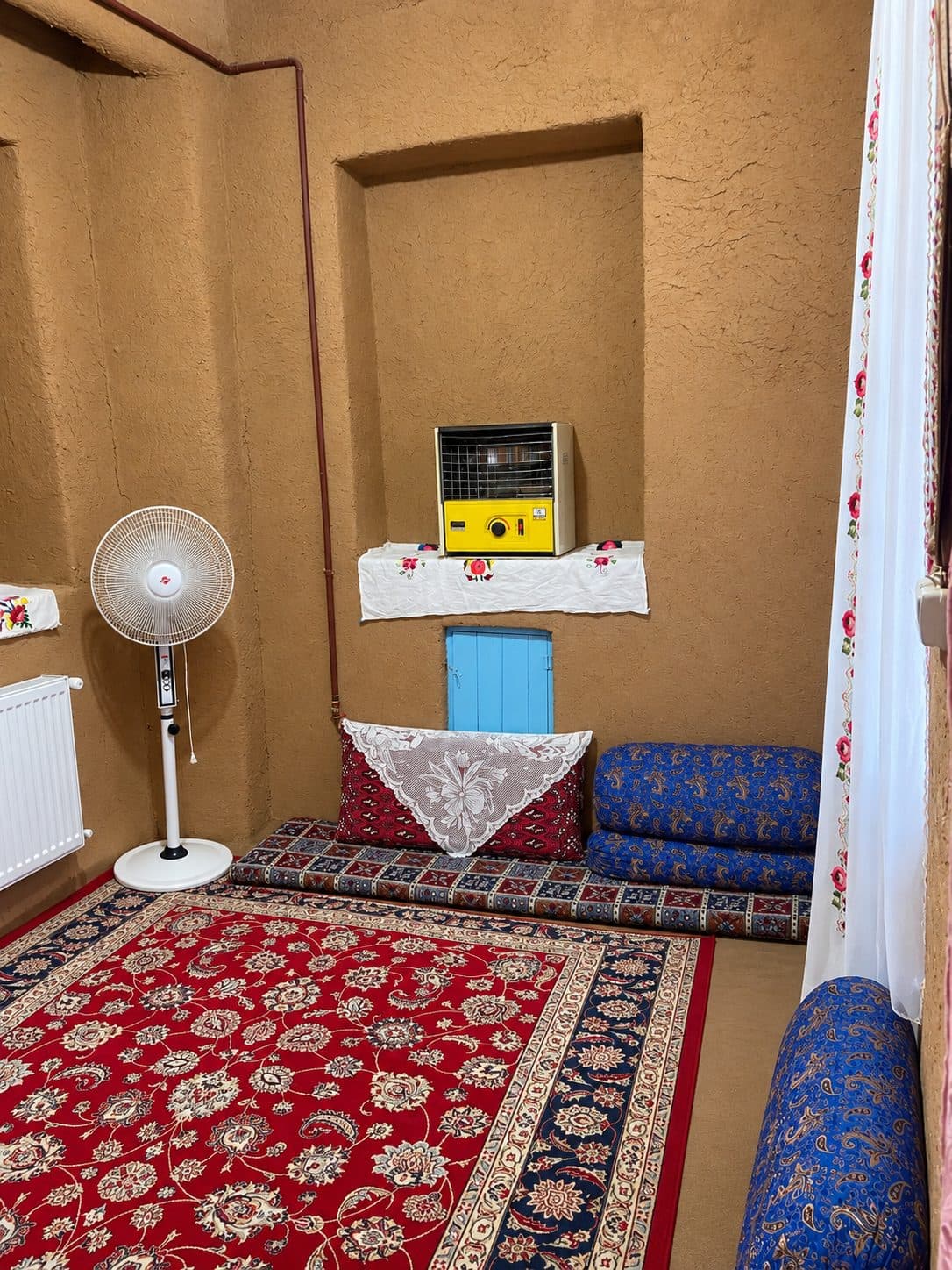 گل محمدی
